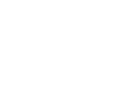 Stella Bossi Logo